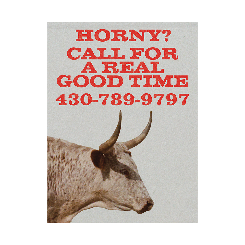Kacey Musgraves Dry Spell Bull Poster