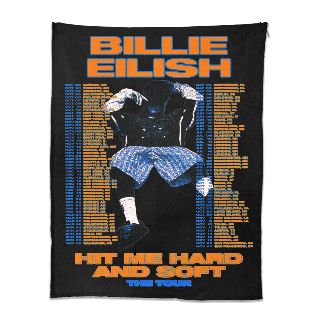 Billie Eilish 2025 Canvas Tour Poster