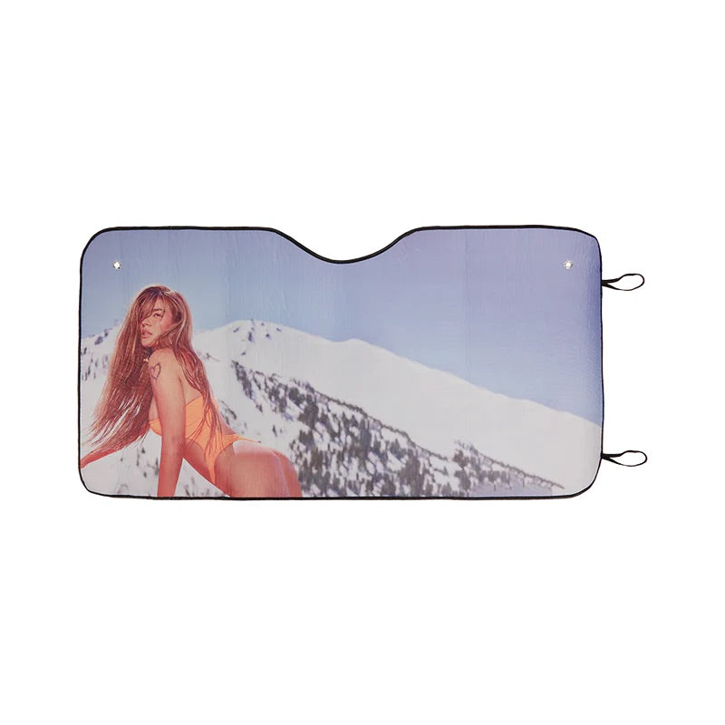 Car Sun Shade