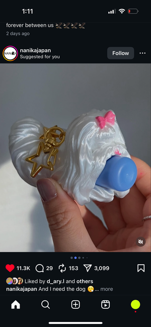 Lippie Cases & Clip-Ons