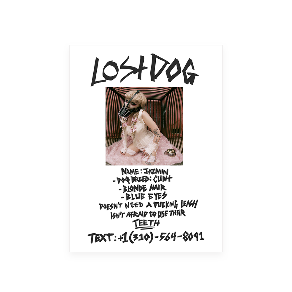 Jazmin Bean Lost Dog Litho