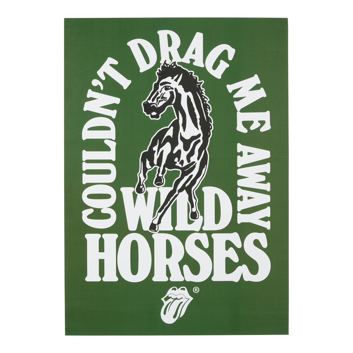 The Rolling Stones Wild Horses Lyric Poster